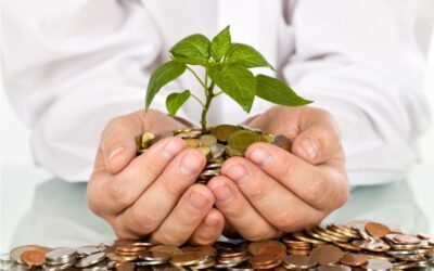 Por que sua iniciativa não está conseguindo captar recursos — mesmo fazendo um bom trabalho?